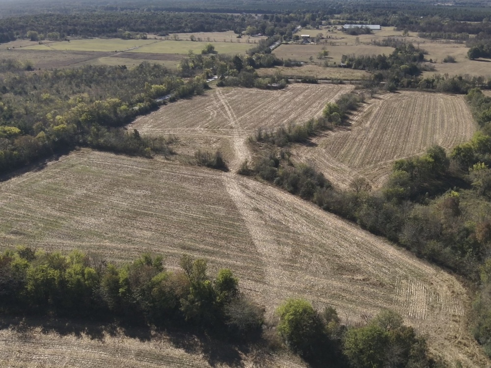 Photo, 11-Acre Hunting Land for Sale, Franklin County, AL