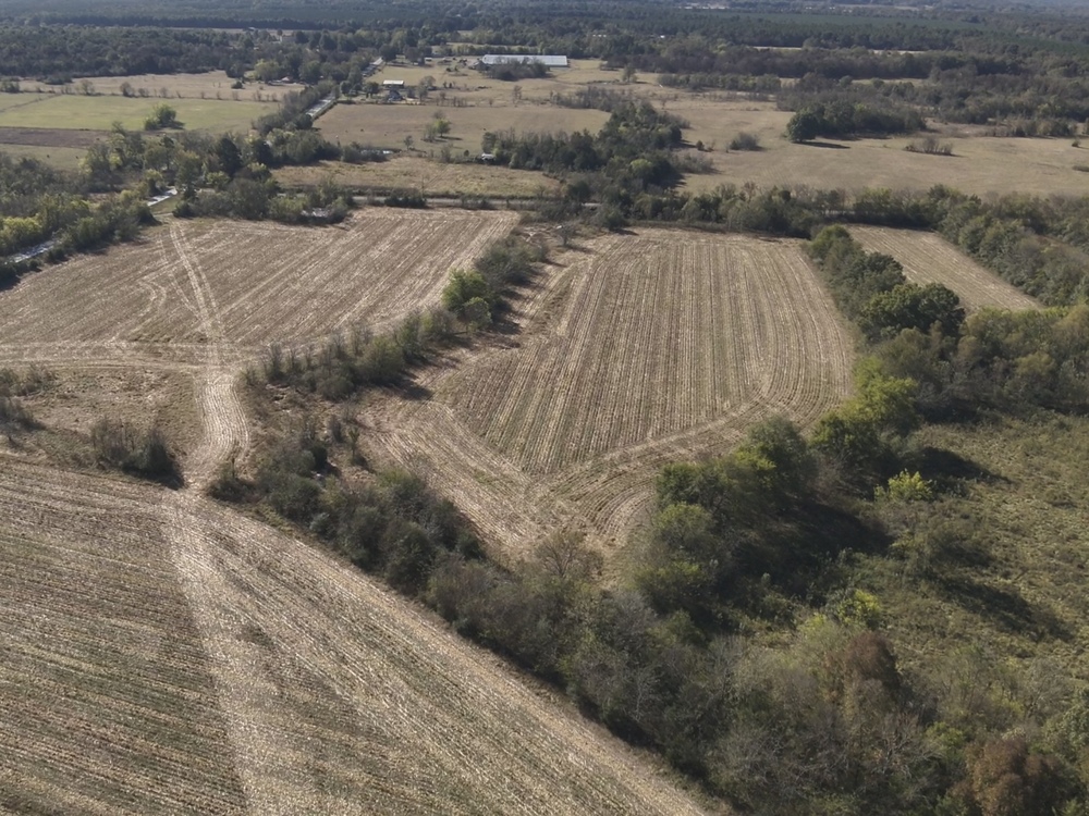 Photo, 11-Acre Hunting Land for Sale, Franklin County, AL